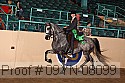 09yn-08099 thumbnail