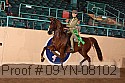 09yn-08102 thumbnail