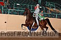 09yn-08107 thumbnail