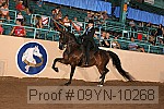 09yn-10268 thumbnail