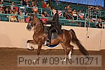 09yn-10271 thumbnail