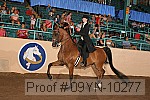 09yn-10277 thumbnail