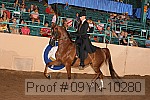 09yn-10280 thumbnail