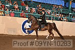09yn-10283 thumbnail