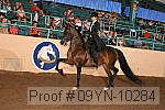09yn-10284 thumbnail