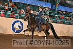 09yn-10285 thumbnail