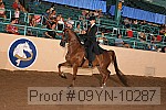 09yn-10287 thumbnail