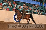 09yn-10288 thumbnail