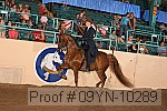 09yn-10289 thumbnail