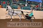 09yn-10064 thumbnail