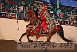09yn-14457 thumbnail