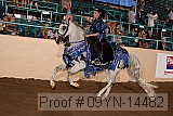 09yn-14482 thumbnail