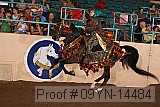 09yn-14484 thumbnail