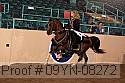 09yn-08272 thumbnail