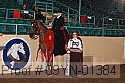 09yn-01384 thumbnail