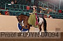 09yn-07094 thumbnail