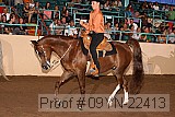 09yn-22413 thumbnail