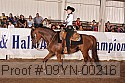09yn-00216 thumbnail