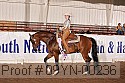 09yn-00236 thumbnail