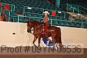 09yn-03536 thumbnail