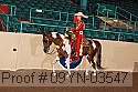 09yn-03547 thumbnail