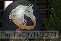 09yn-00771 thumbnail