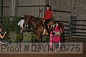 09yn-00775 thumbnail