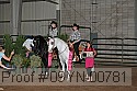 09yn-00781 thumbnail