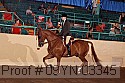 09yn-03345 thumbnail