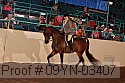 09yn-03407 thumbnail