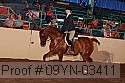 09yn-03411 thumbnail