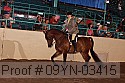 09yn-03415 thumbnail