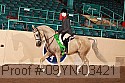 09yn-03421 thumbnail