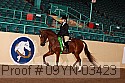 09yn-03423 thumbnail