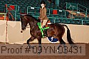 09yn-03431 thumbnail