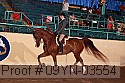 09yn-03554 thumbnail