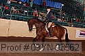 09yn-03562 thumbnail