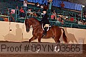 09yn-03565 thumbnail