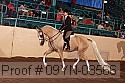 09yn-03566 thumbnail