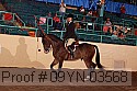 09yn-03568 thumbnail