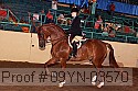 09yn-03570 thumbnail