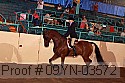 09yn-03572 thumbnail