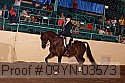 09yn-03573 thumbnail