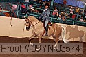 09yn-03574 thumbnail