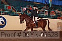 09yn-03628 thumbnail