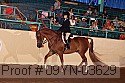 09yn-03629 thumbnail