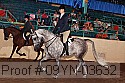 09yn-03632 thumbnail