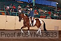 09yn-03633 thumbnail