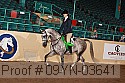 09yn-03641 thumbnail