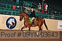 09yn-03643 thumbnail
